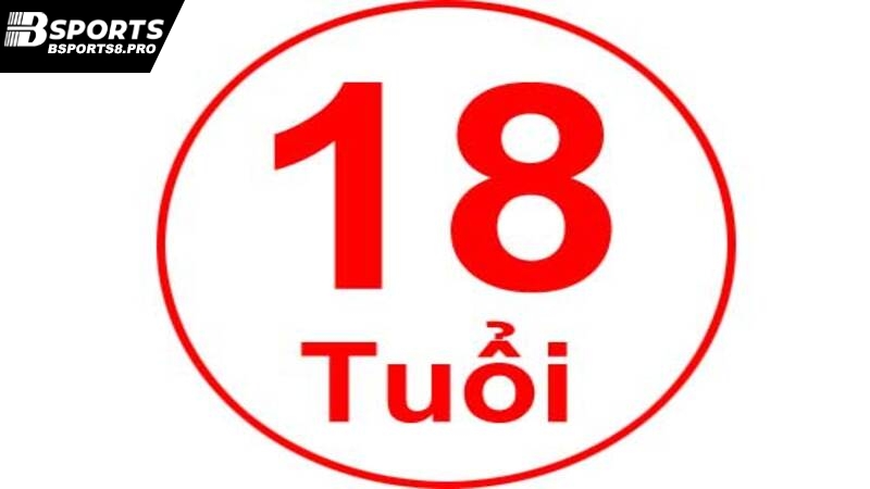 Bạn cần đảm bảo đủ 18 tuổi khi đăng ký Bsports