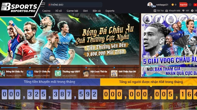 Sảnh thể thao Bsports - Chuyên mục tụ hợp trận cầu đỉnh cao