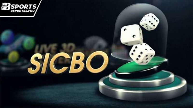 Tài Xỉu Bsports - Trò chơi may rủi sinh lời nhanh chóng