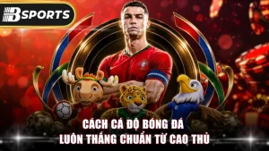 Cách Cá Độ Bóng Đá Luôn Thắng