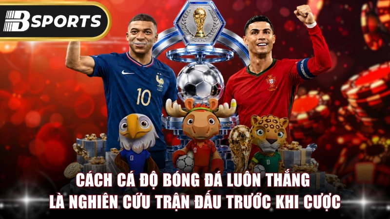 Cách cá độ bóng đá luôn thắng là nghiên cứu trận đấu trước khi cược