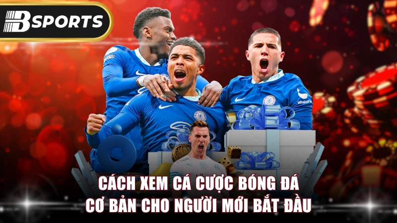 Cách xem cá cược bóng đá cơ bản cho người mới bắt đầu