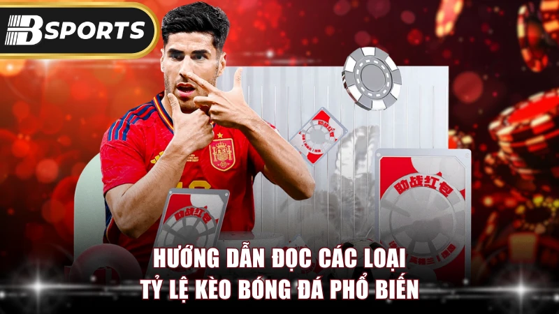 Hướng dẫn đọc các loại tỷ lệ kèo bóng đá phổ biến