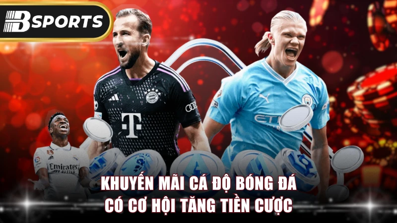 Khuyến mãi cá độ bóng đá có cơ hội tăng tiền cược